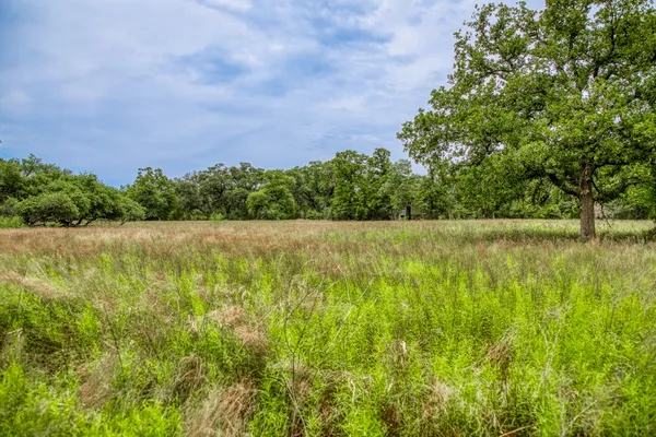 $250,000 | 125 Hallettsville Tx 77964, Hallettsville, TX 77964