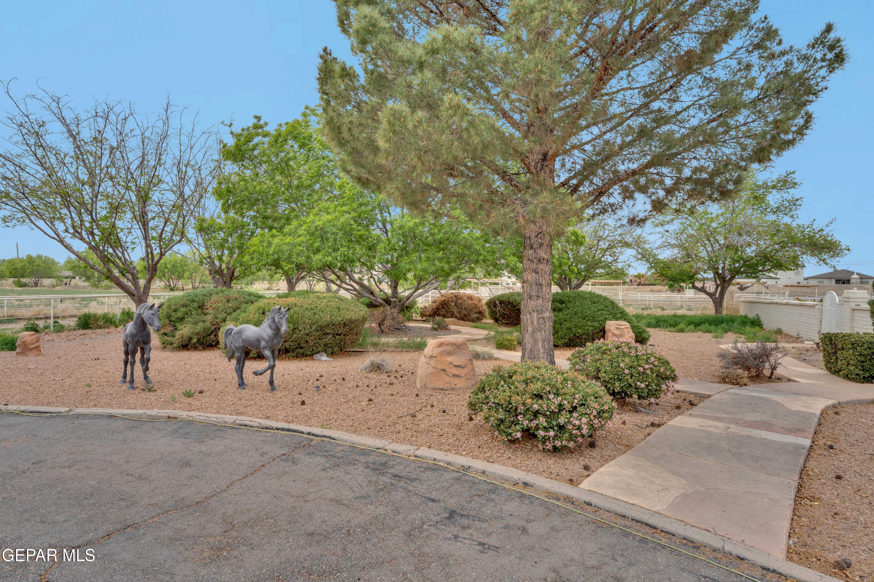 877 Gomez Road El Paso, TX 79932 - Photo 11 of 143 1 (8)