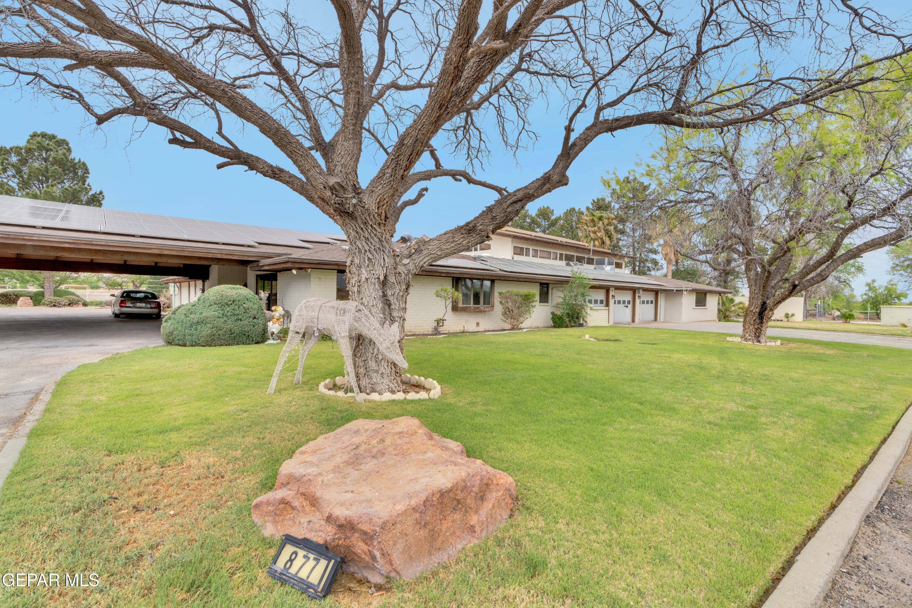 877 Gomez Road El Paso, TX 79932 - Photo 7 of 143 1 (4)