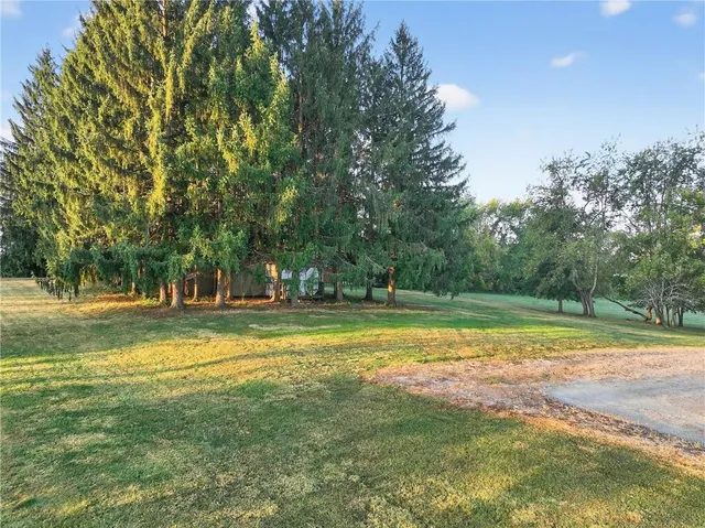 a view of a house with a yard and large tree