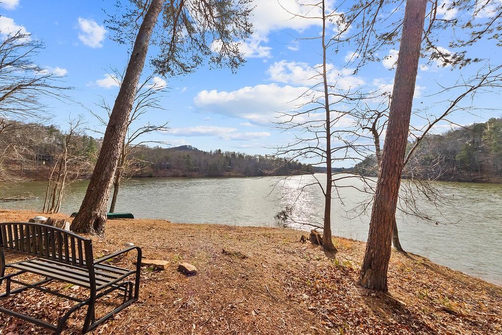 192 Grassy Knob Court Jasper, GA 30143 - Photo 3 of 88 a view of a lake with a tree