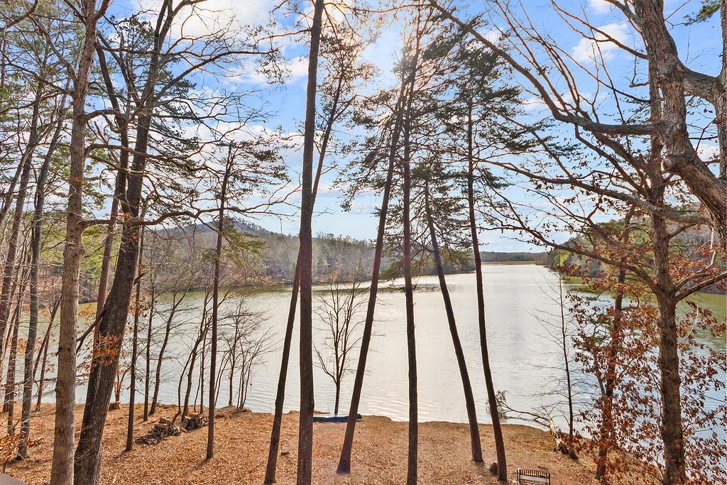 192 Grassy Knob Court Jasper, GA 30143 - Photo 4 of 88