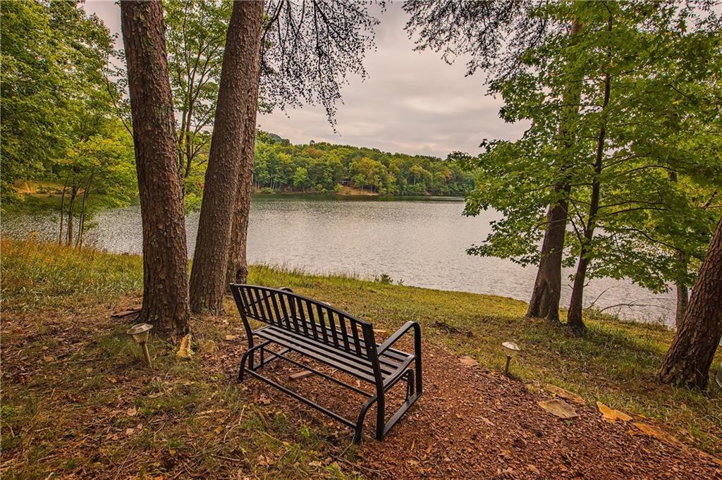192 Grassy Knob Court Jasper, GA 30143 - Photo 6 of 88