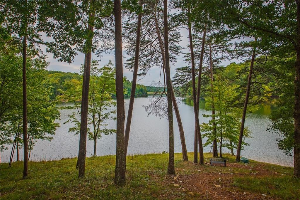 192 Grassy Knob Court Jasper, GA 30143 - Photo 8 of 88 a view of a yard with palm trees