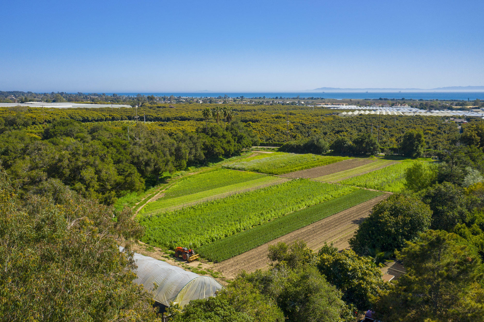 4120 Foothill Road Carpinteria, CA 93013 - Photo 11 of 16 Crisp Ocean Breezes & Wide Open Spaces