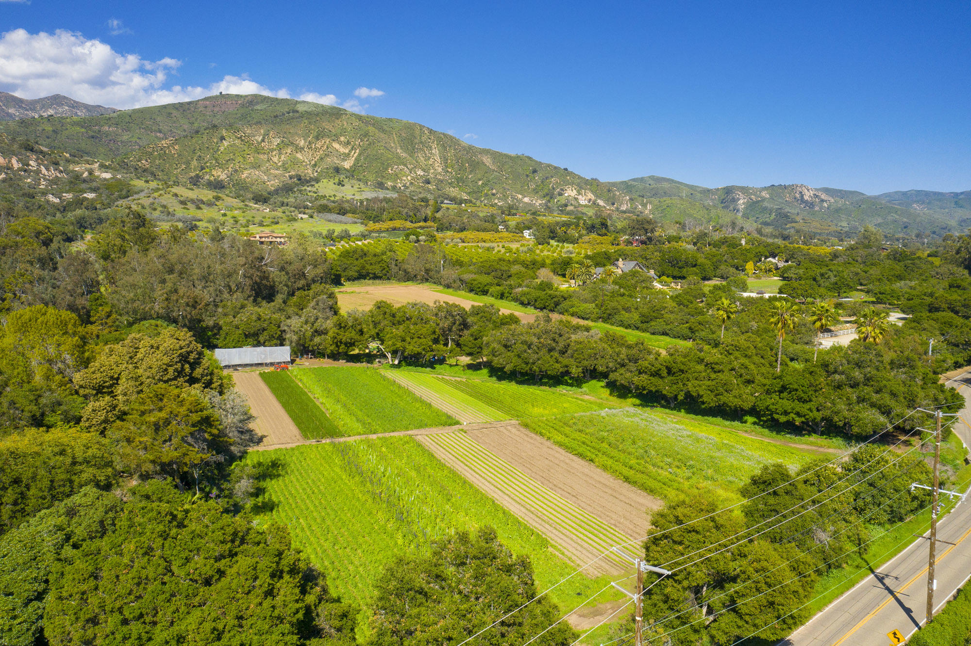 4120 Foothill Road Carpinteria, CA 93013 - Photo 12 of 16 Views of the Santa Ynez Mountain Range