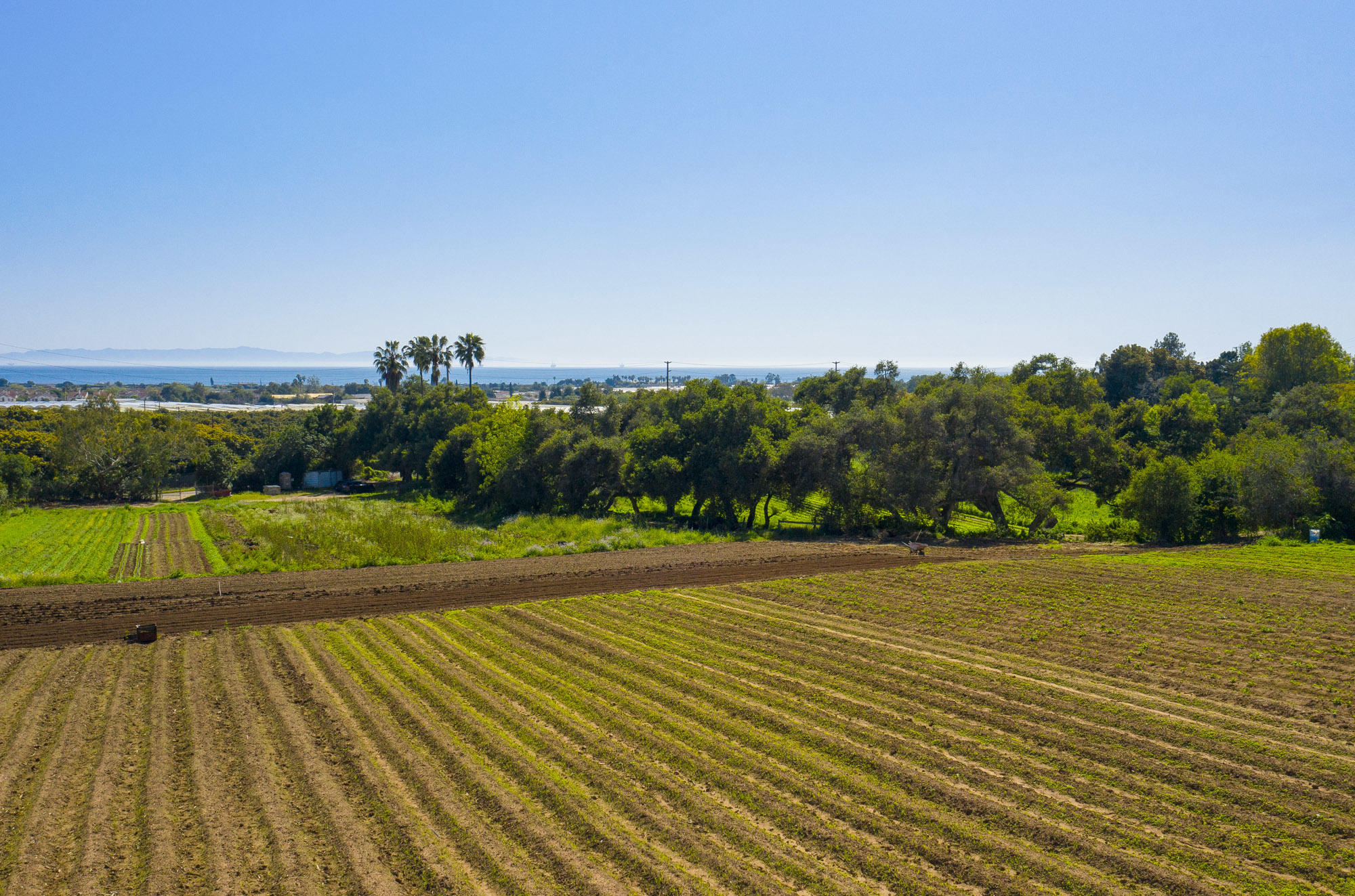 4120 Foothill Road Carpinteria, CA 93013 - Photo 13 of 16 Ocean View Farm & Estate Site