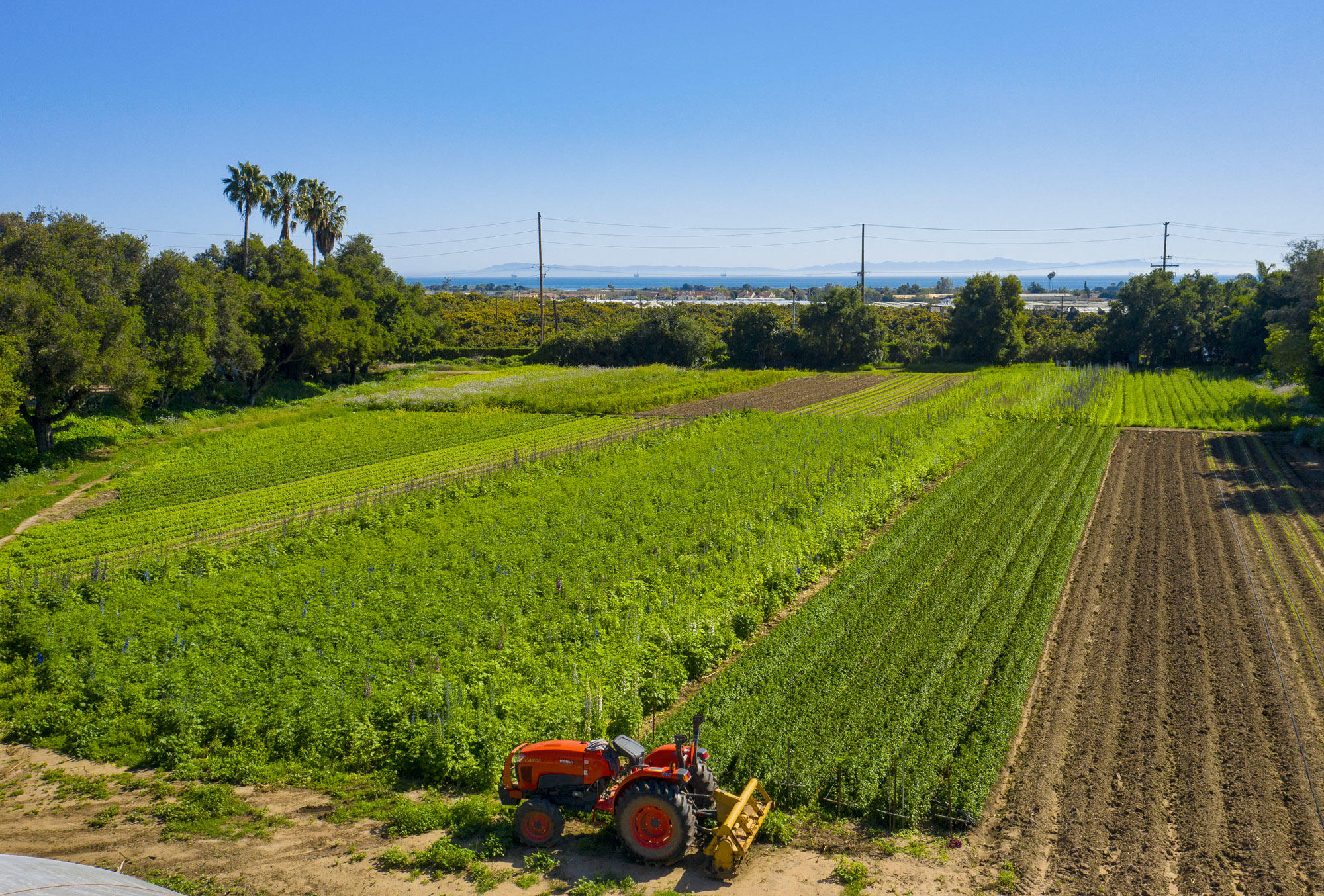 4120 Foothill Road Carpinteria, CA 93013 - Photo 3 of 16 8.5 Acres