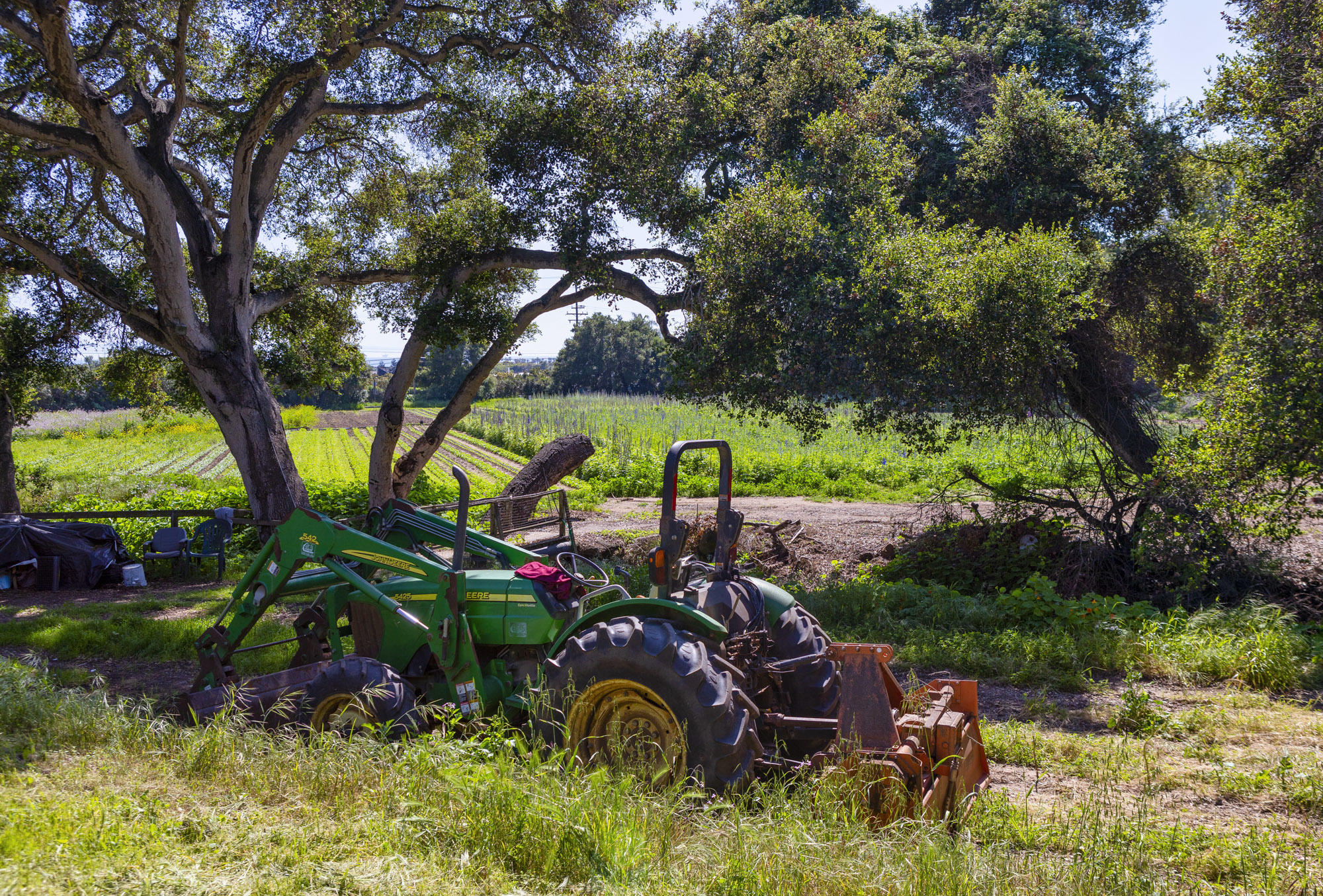 4120 Foothill Road Carpinteria, CA 93013 - Photo 4 of 16 Grow, Build, Create & Thrive