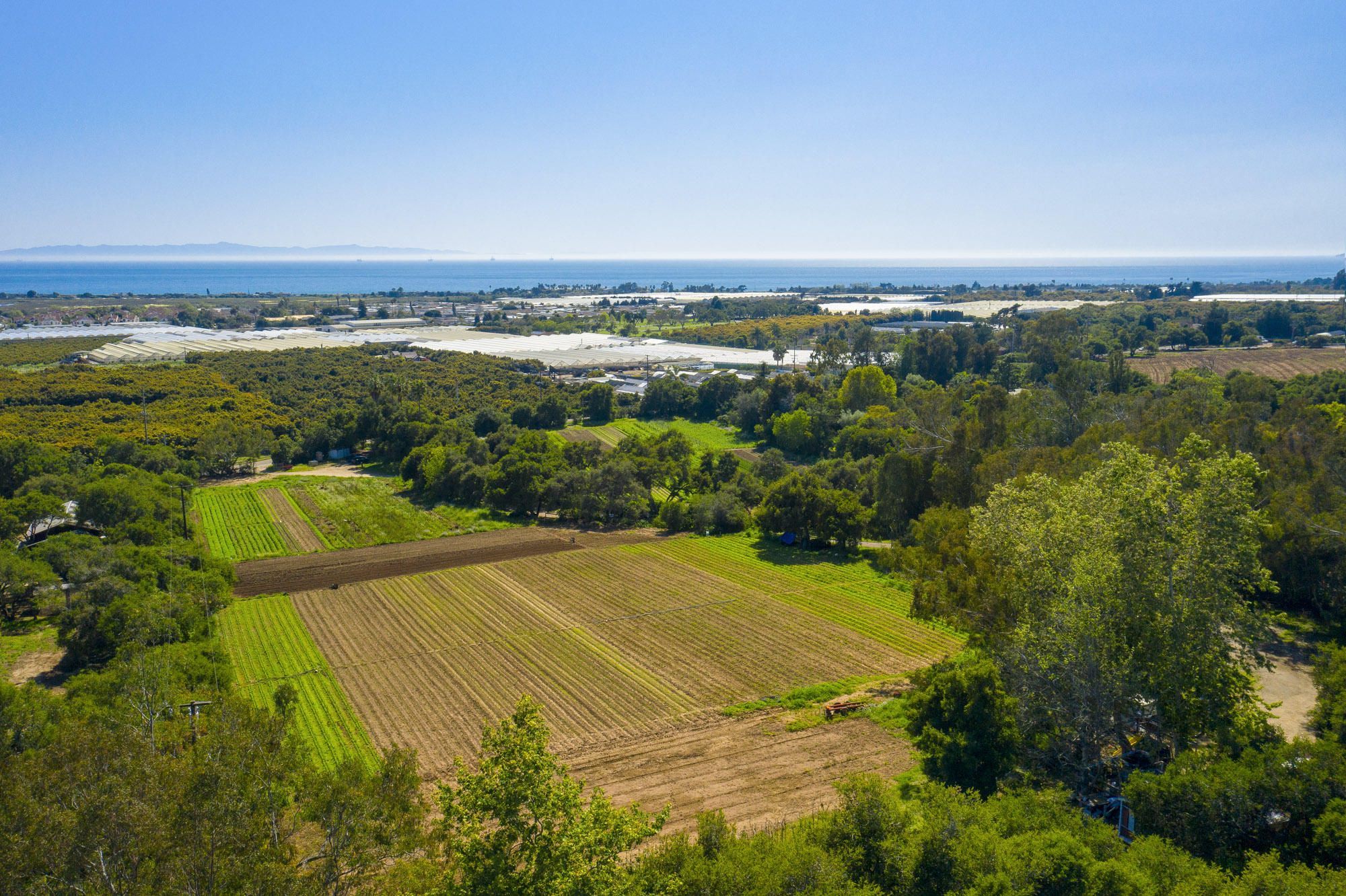 4120 Foothill Road Carpinteria, CA 93013 - Photo 9 of 16 Stunning Backdrop for an Estate or Farm