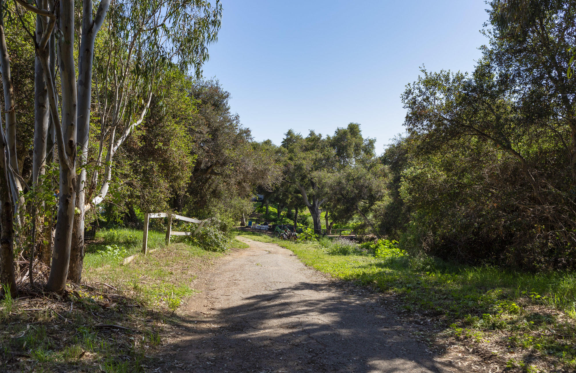 4120 Foothill Road Carpinteria, CA 93013 - Photo 10 of 16 A Verdant Coastal Environment