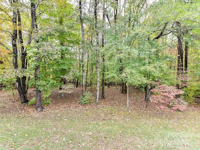 a view of a field with trees in front of it