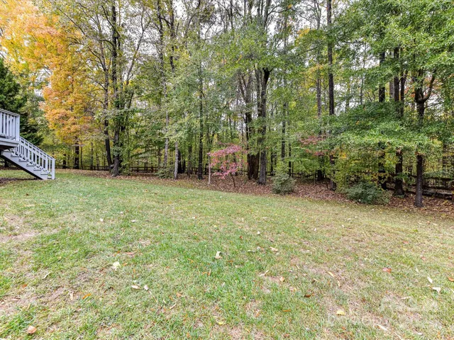 a view of a backyard with plants and a patio
