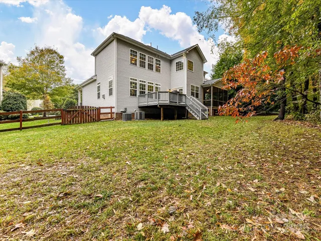 a plant is in the middle of a forest