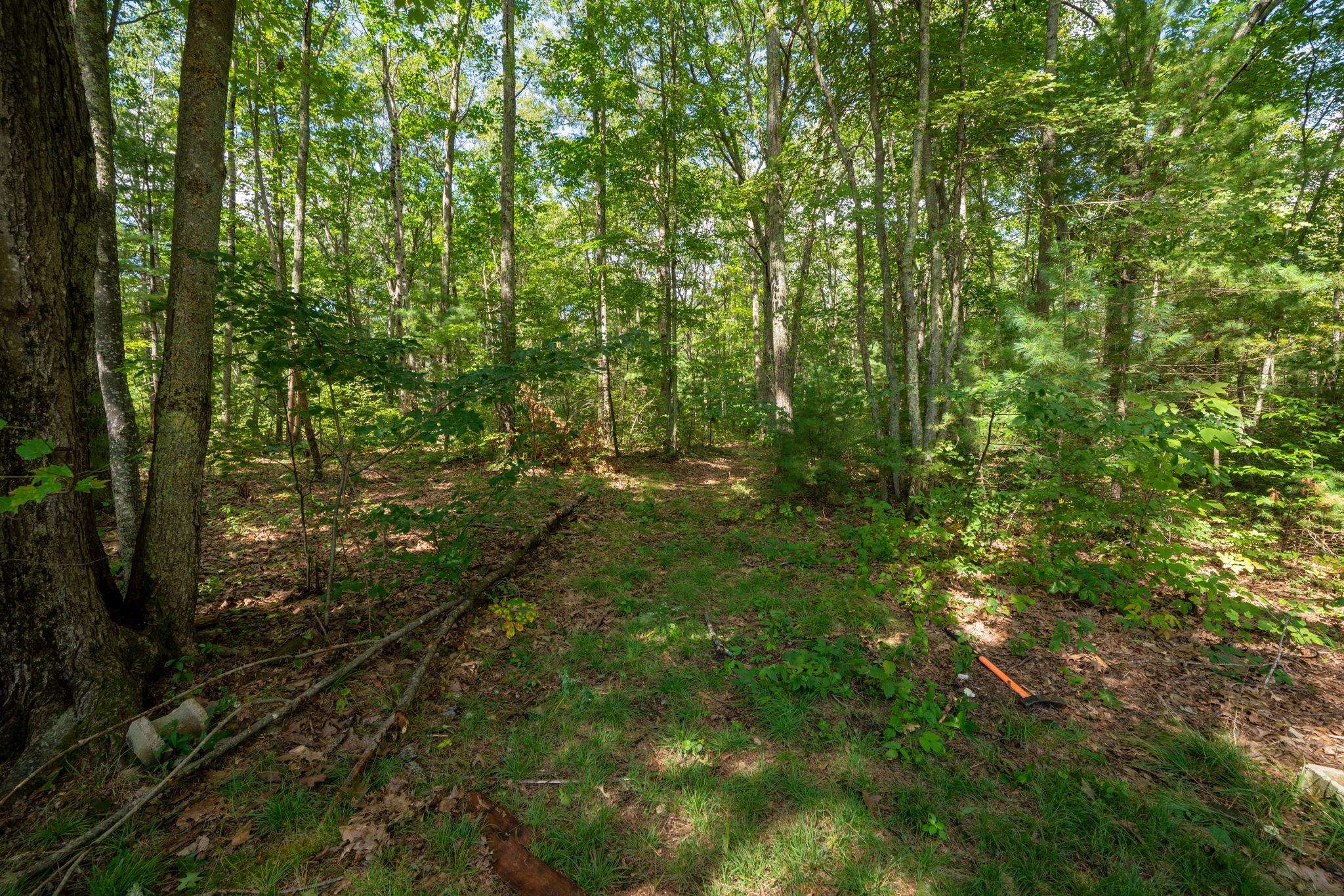 729 Chester Road Auburn, NH 03032 - Photo 8 of 25 Gallery Image 8