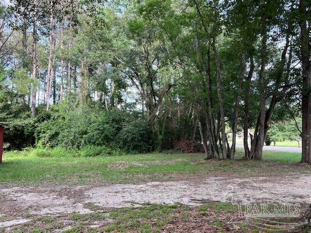 3174 Jack Springs Road Atmore, AL 36502 - Photo 6 of 24