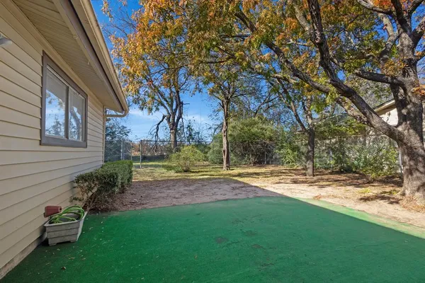 a view of a yard with plants and trees