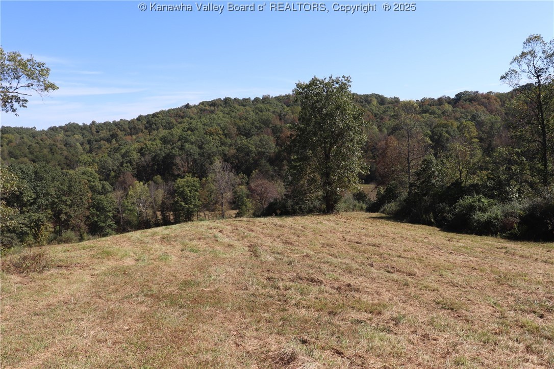 161 Cavender Drive Ripley, WV 25271 - Photo 37 of 50 Gallery Image 37