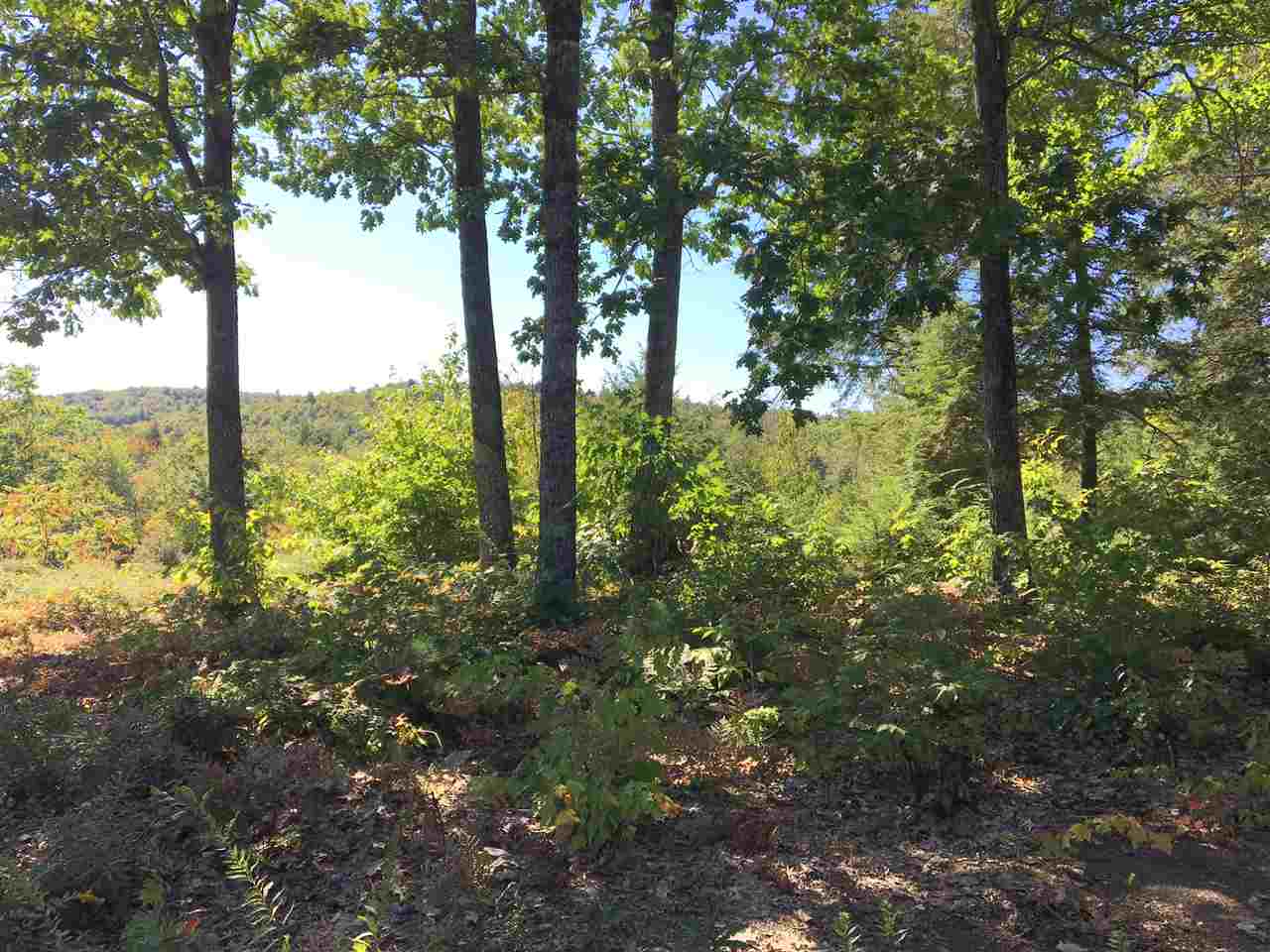 78 Old Granite Road Ossipee, NH 03864 - Photo 11 of 39