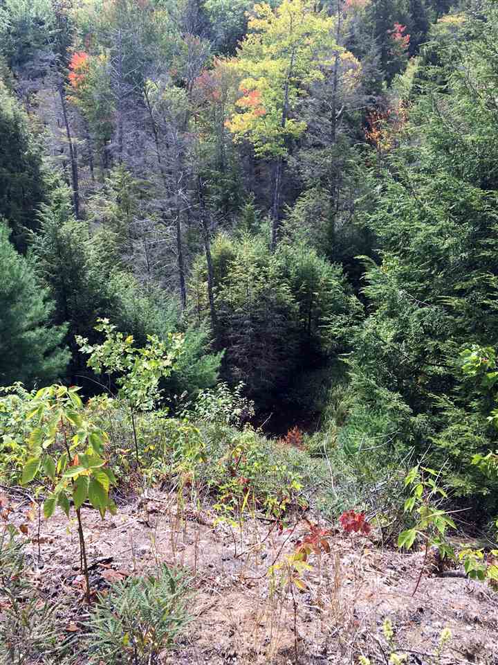 78 Old Granite Road Ossipee, NH 03864 - Photo 7 of 39