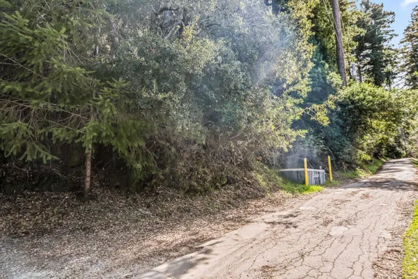 a view of a yard with plants and trees