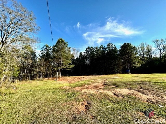 1 Dora Bush Hill Road McRae-Helena, GA 31037 - Photo 18 of 32