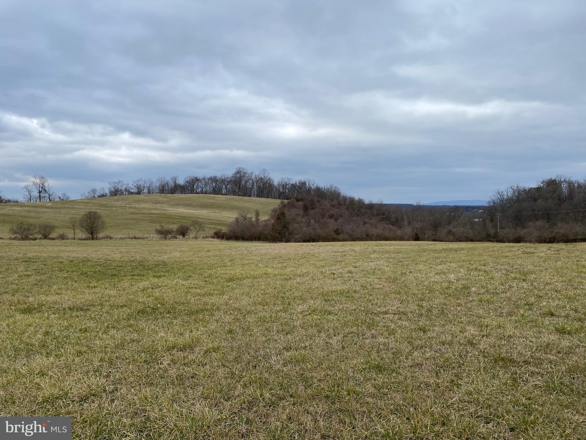 3141 Apple Pie Ridge Road Winchester, VA 22603 - Photo 45 of 47