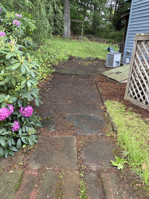 16 Clark Street Belchertown, MA 01007 - Photo 6 of 23 a small garden covered with tall trees