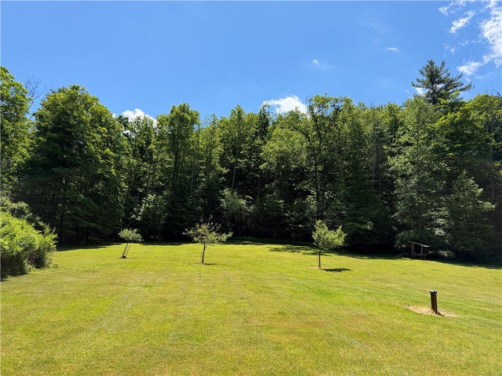 2213 Brown Hollow Road Corning, NY 14830 - Photo 15 of 50