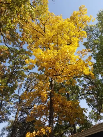 $449,000 | 5770 Highway 12, Buchanan, MI 49107