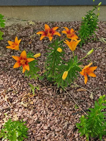 $449,000 | 5770 Highway 12, Buchanan, MI 49107