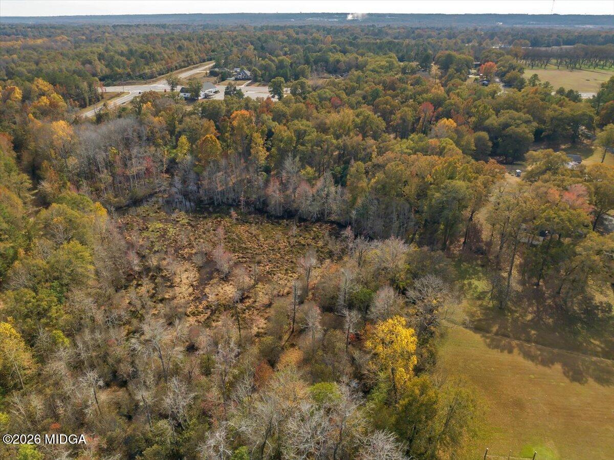 4565 Sardis Church Road Macon, GA 31216 - Photo 63 of 69 028-4565 sardis church rd (61)