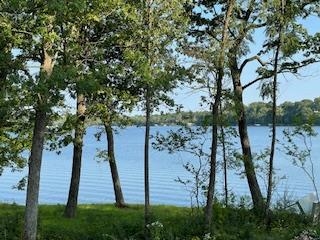 Lot 33 Lucille Merrimac, WI 53561 - Photo 8 of 10