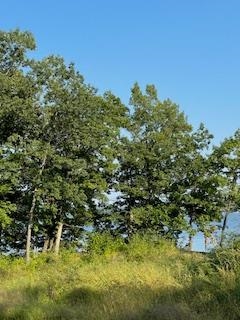 Lot 33 Lucille Merrimac, WI 53561 - Photo 9 of 10