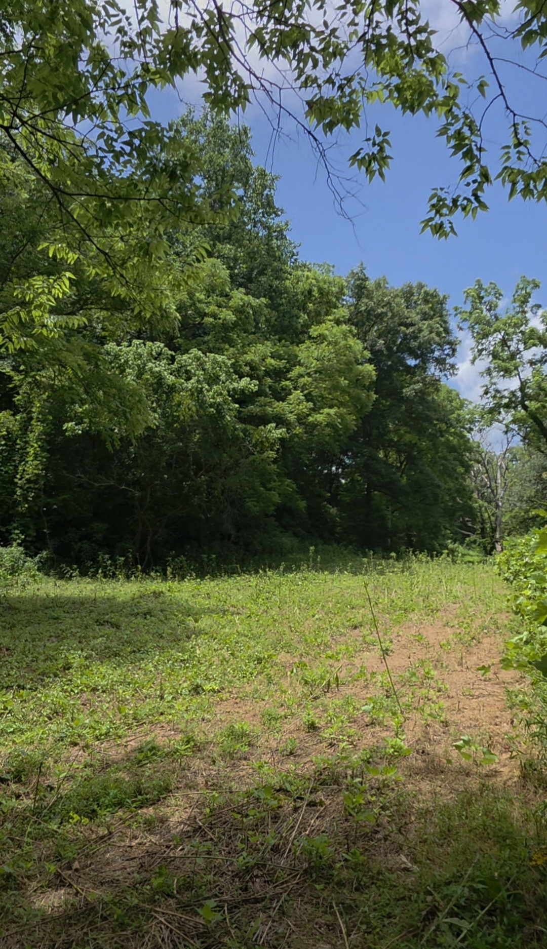 0 Rock Springs Road Ethridge, TN 38456 - Photo 8 of 22