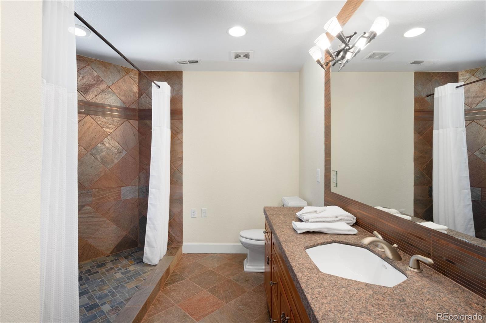 10914 Remmick Ridge Road Parker, CO 80134 - Photo 27 of 47 a bathroom with a granite countertop sink a toilet a mirror and shower