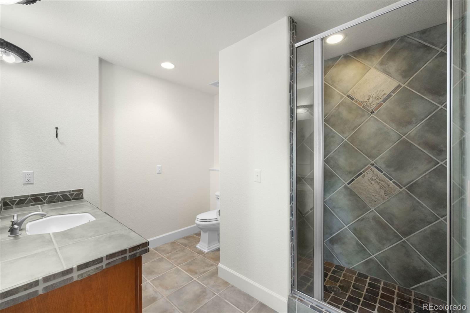 10914 Remmick Ridge Road Parker, CO 80134 - Photo 33 of 47 Gallery Image 33