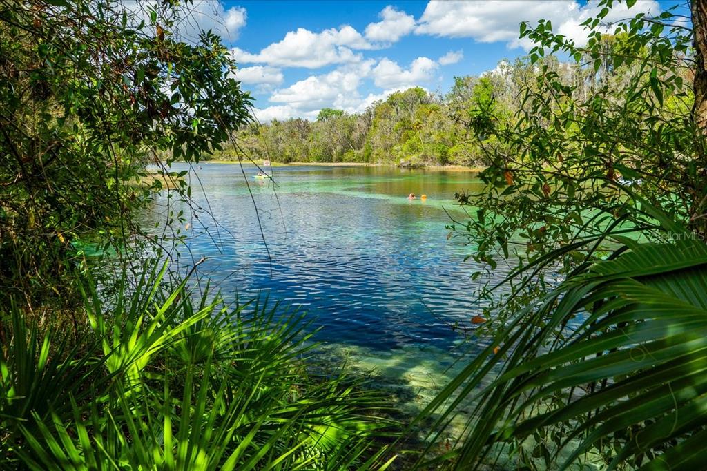19423 Southwest 77th Loop Dunnellon, FL 34432 - Photo 46 of 48
