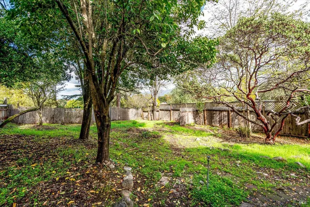a view of backyard with green space