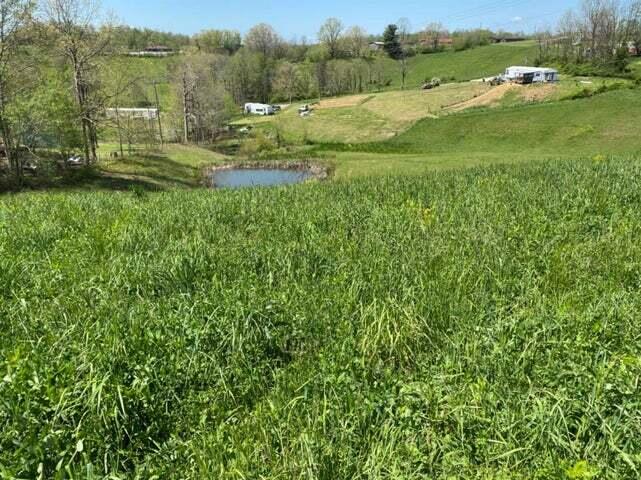 9729 Brown Ridge Road Morehead, KY 40351 - Photo 1 of 1 Land 1