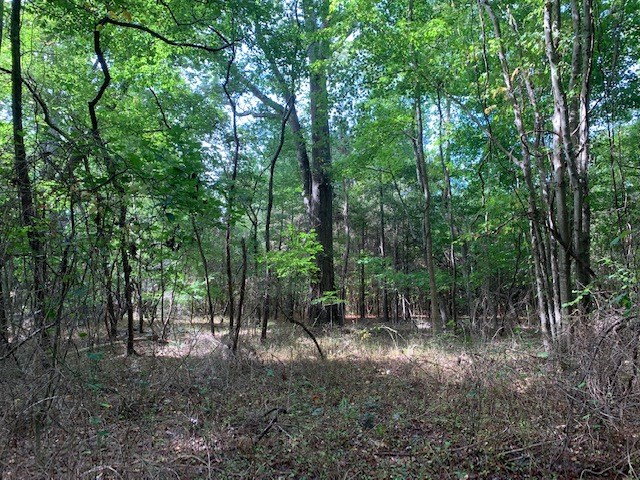D Cheriton Cross Road, Unit D Cape Charles, VA 23310 - Photo 26 of 37