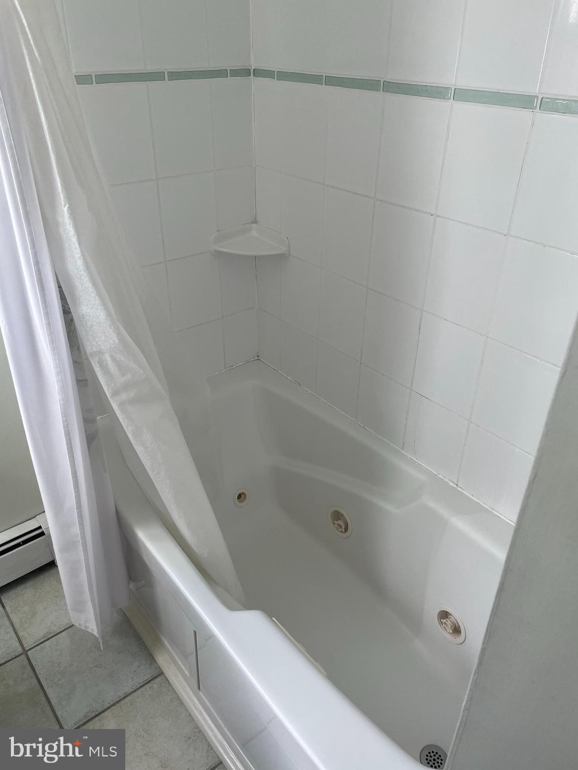 1017 Lavera Road Warminster, PA 18974 - Photo 14 of 56 Shower bath