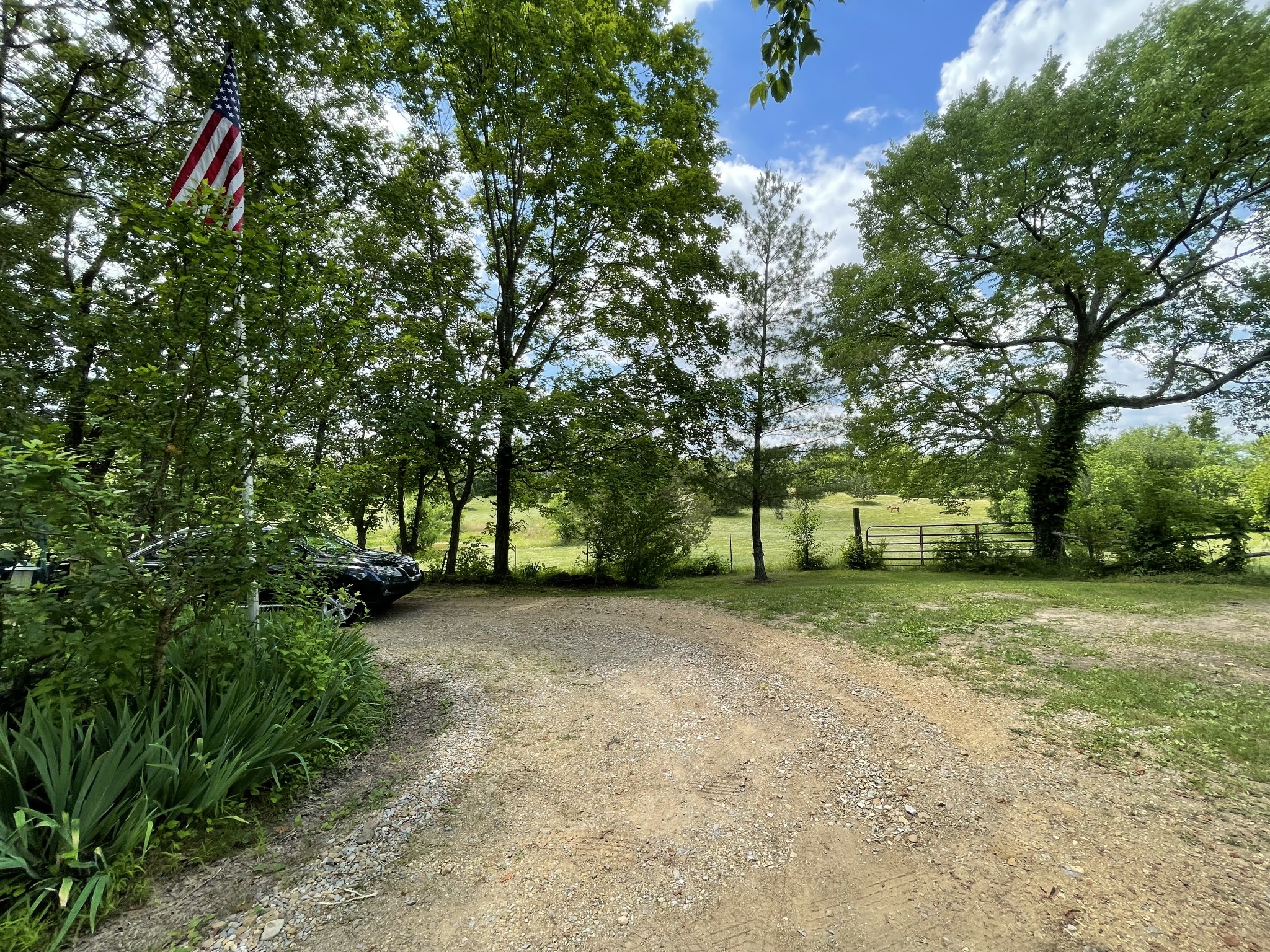 2810 James Winters Road Springfield, TN 37172 - Photo 5 of 63 a view of a trees in a yard