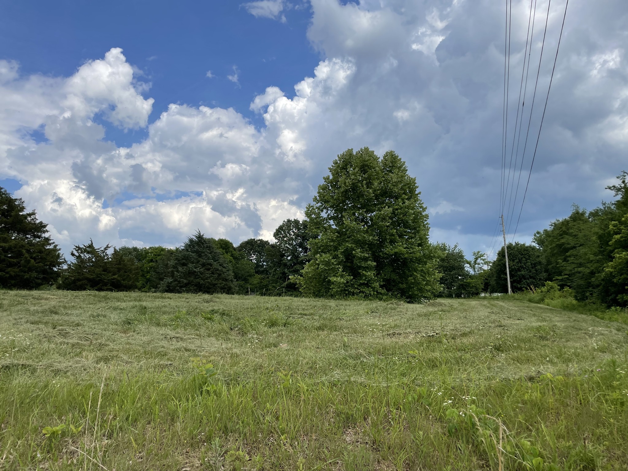 2810 James Winters Road Springfield, TN 37172 - Photo 53 of 63 a view of a grassy field
