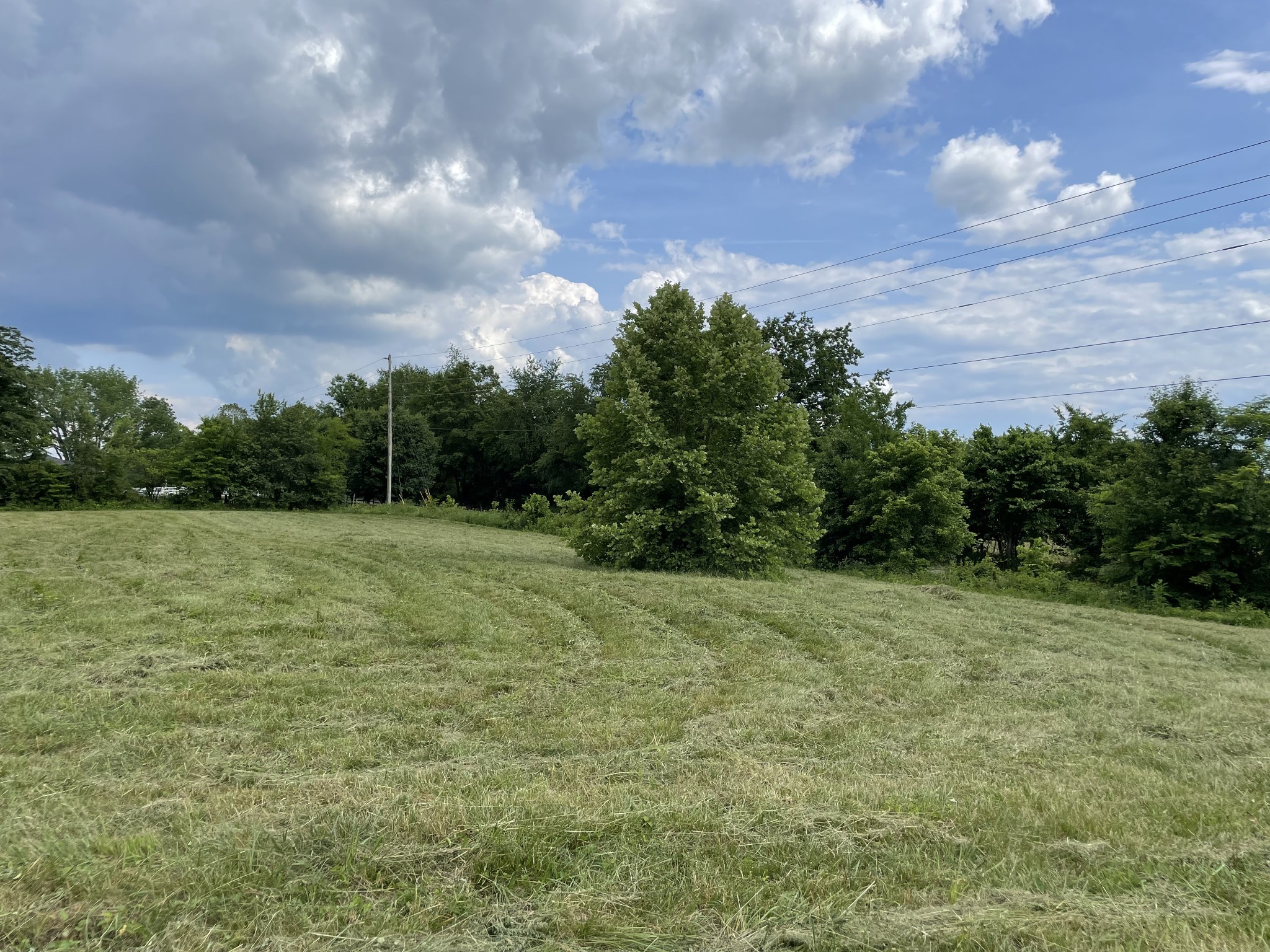 2810 James Winters Road Springfield, TN 37172 - Photo 54 of 63 a view of a big yard with a fountain