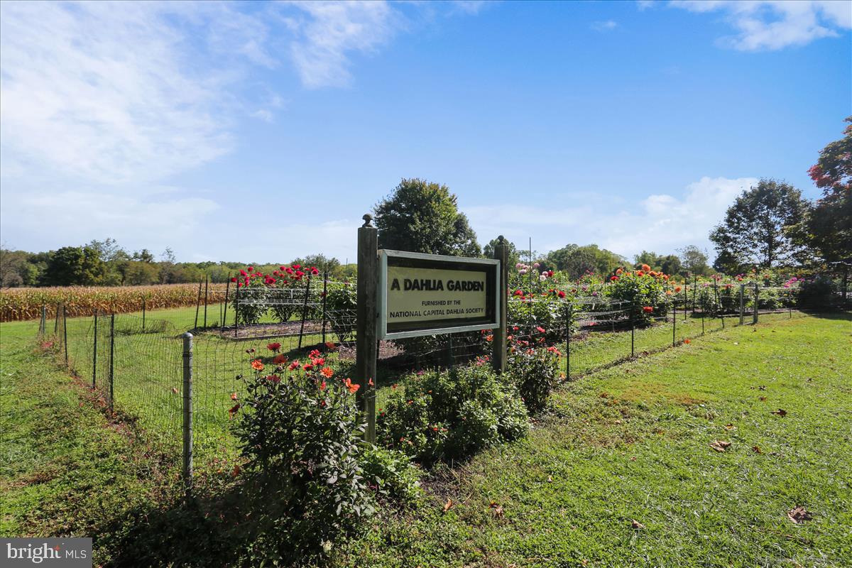 9445 Fields Road Gaithersburg, MD 20878 - Photo 88 of 149 Gallery Image 88
