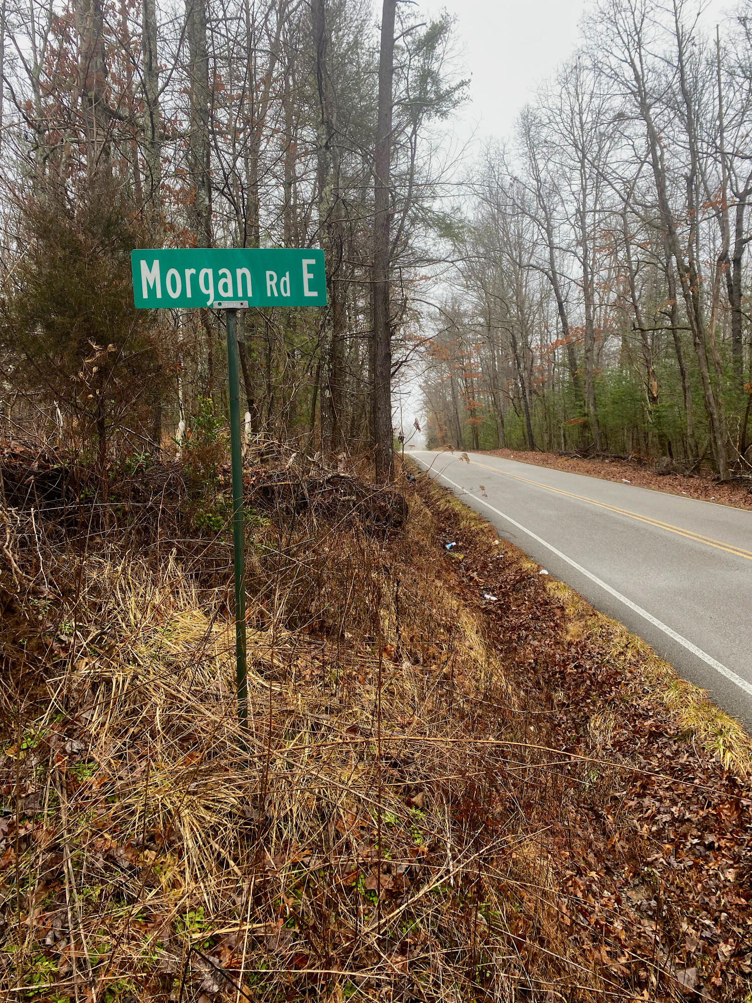 0 Morgan Road, Unit 2 Spring City, TN 37381 - Photo 3 of 3 Tezza-2108