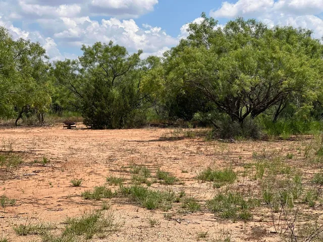 a view of a pathway both side of yard