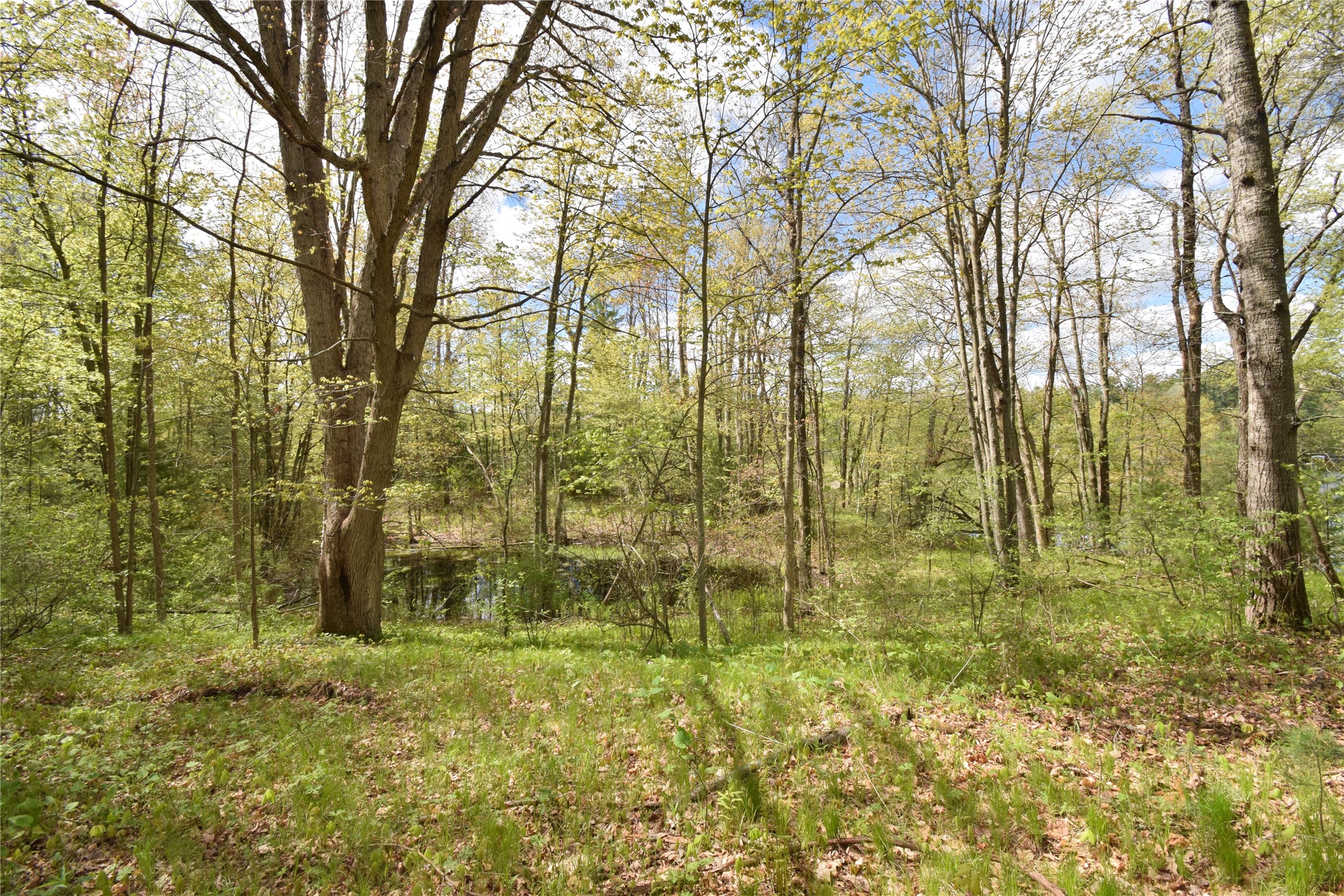 25383 Mansfield Road Webster, WI 54893 - Photo 15 of 36