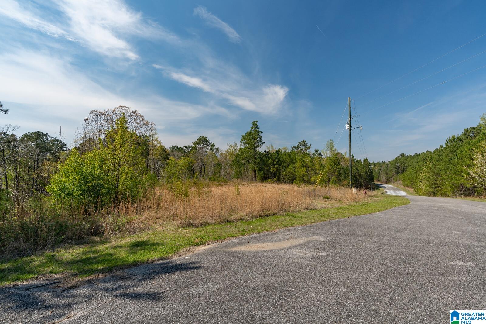 Stillwaters Trail, Unit 180 Sylacauga, AL 35151 - Photo 4 of 30